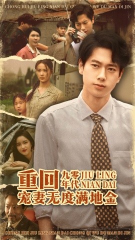 重回九零年代，寵妻無度滿地金